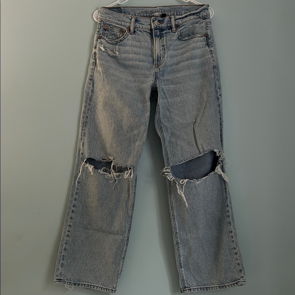 AE Wide Leg Distressed Blue Jeans